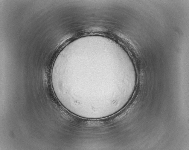 X0000114541305200911161348