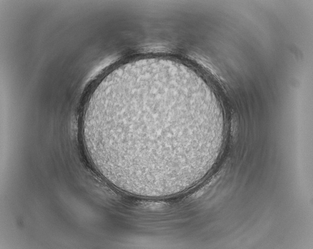 X0000114541309200911161348