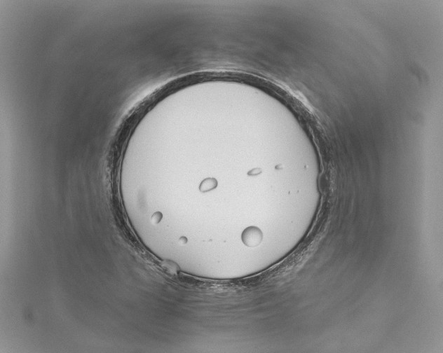 X0000114541311200911161348