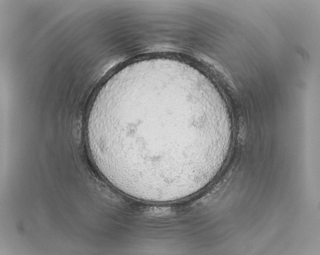 X0000114541313200911161348