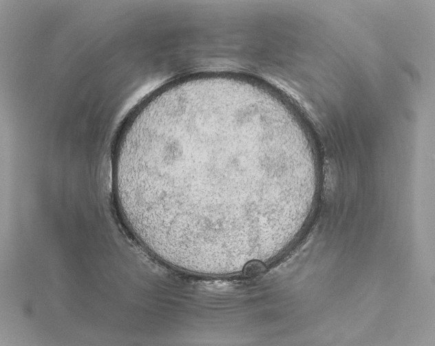 X0000114541317200911161349