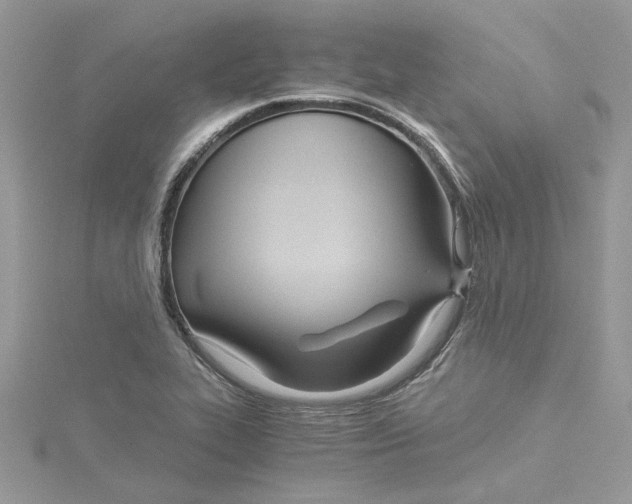 X0000114541319200911161349