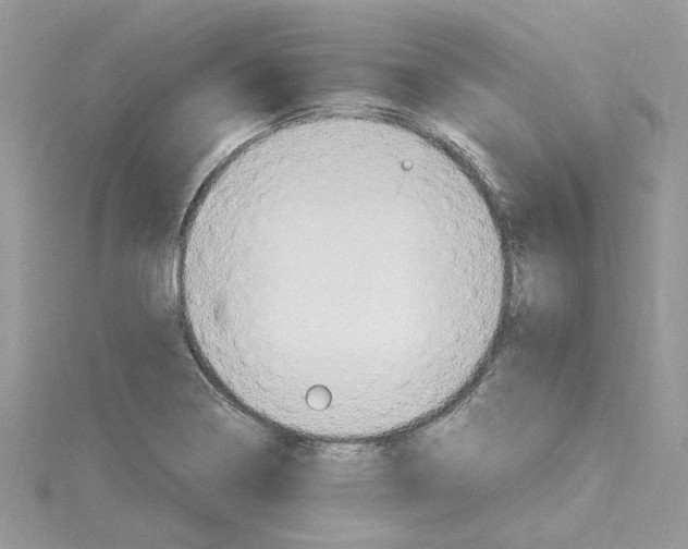 X0000114541322200911161349