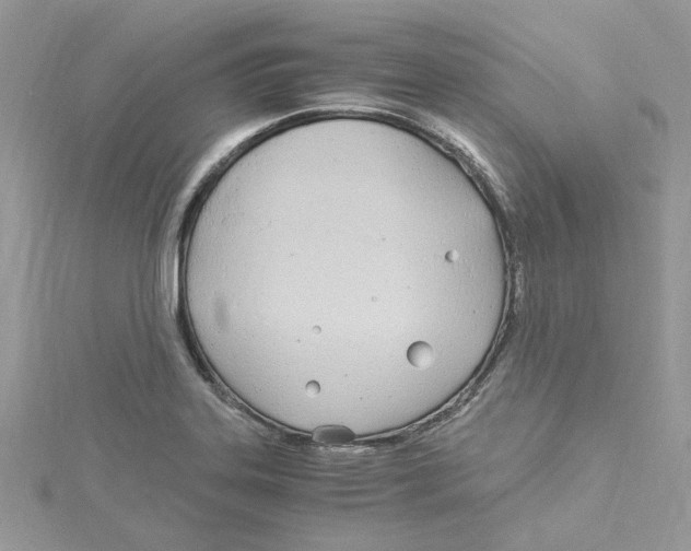 X0000114541323200911161349