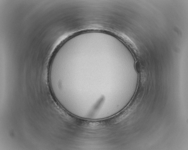 X0000114541326200911161349