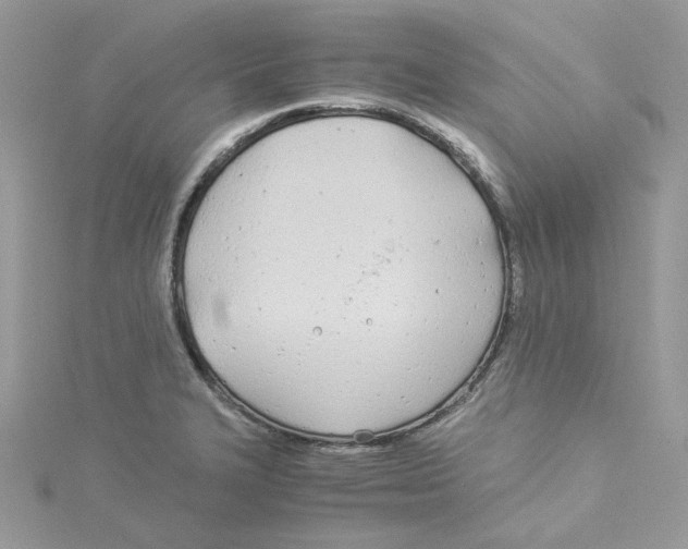 X0000114541327200911161349