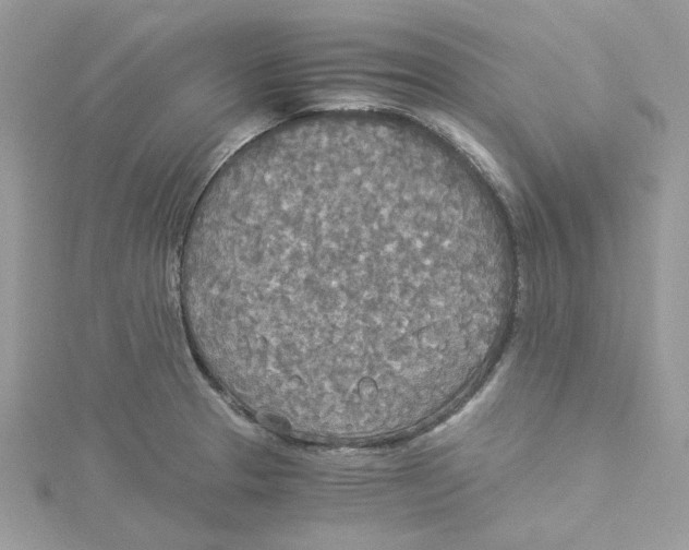 X0000114541329200911161349