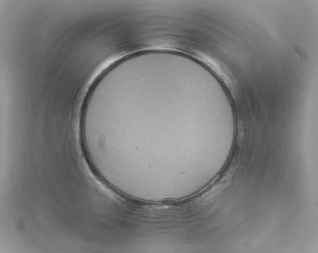 X0000114541331200911161349