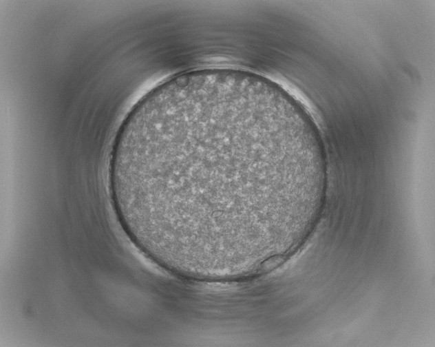 X0000114541333200911161349