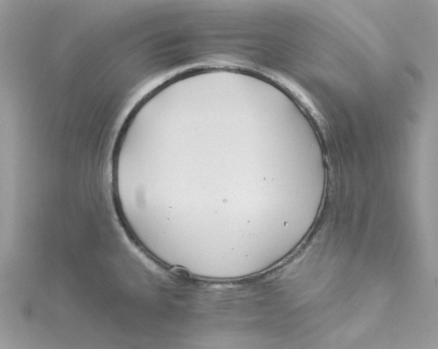 X0000114541335200911161349