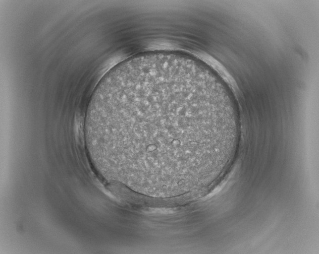 X0000114541337200911161349