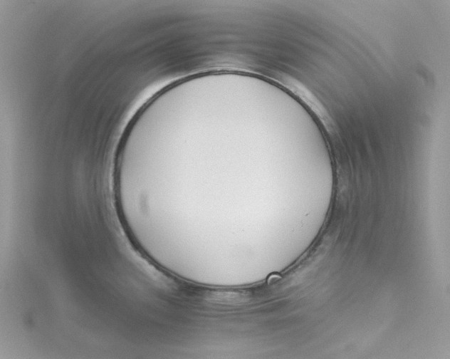 X0000114541339200911161349