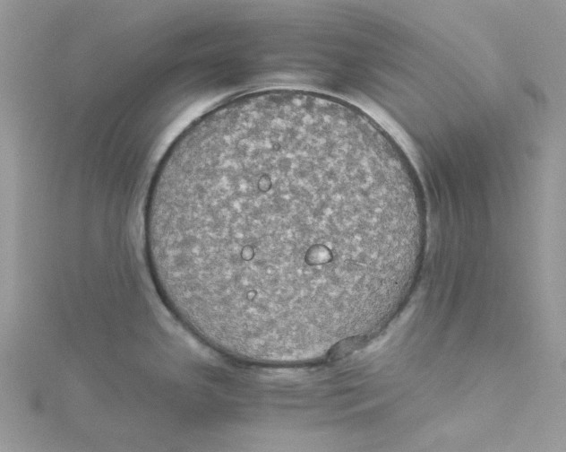 X0000114541341200911161349