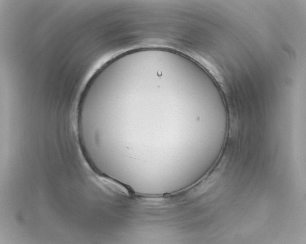 X0000114541342200911161349