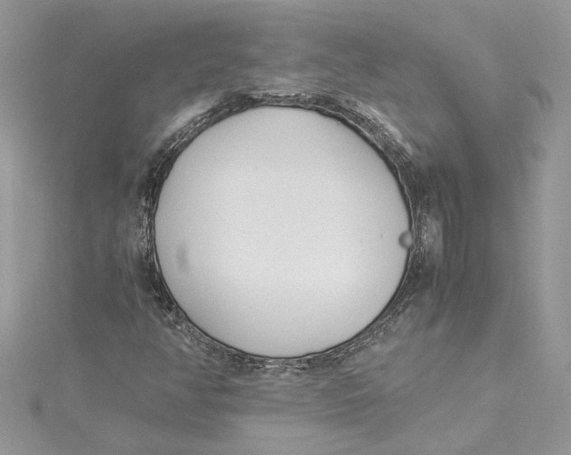 X0000114541350200911161348