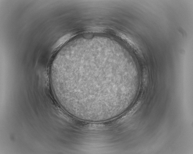 X0000114541354200911161348