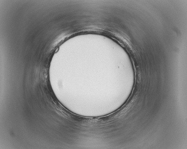 X0000114541355200911161348