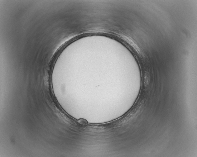 X0000114541356200911161348