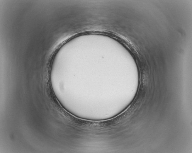 X0000114541359200911161348