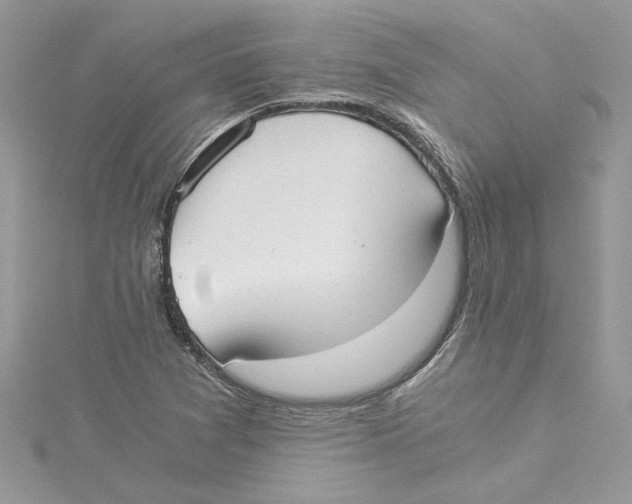 X0000114541361200911161348