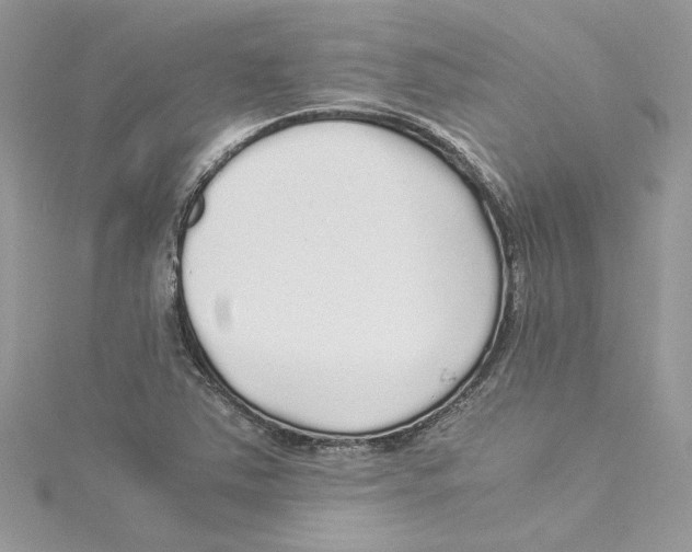 X0000114541363200911161348