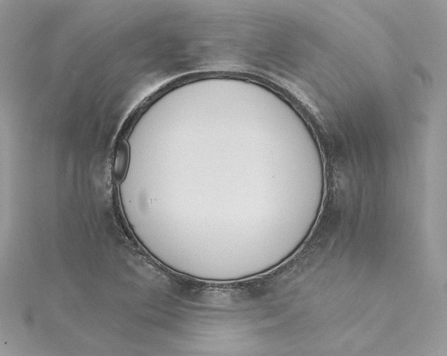 X0000114541364200911161348