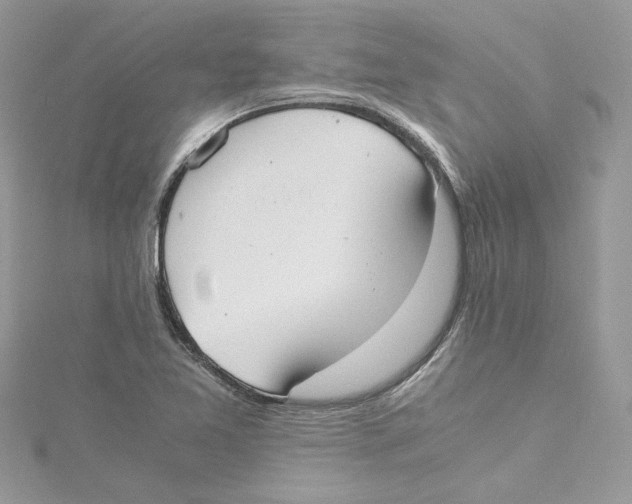 X0000114541365200911161348