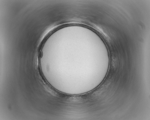 X0000114541368200911161348