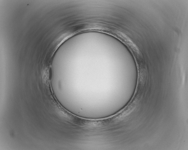 X0000114541369200911161348