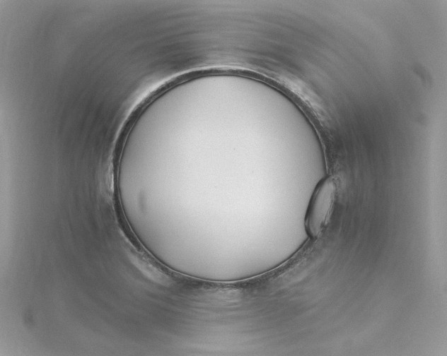 X0000114541372200911161348