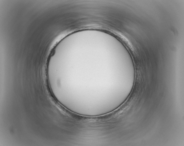 X0000114541373200911161348