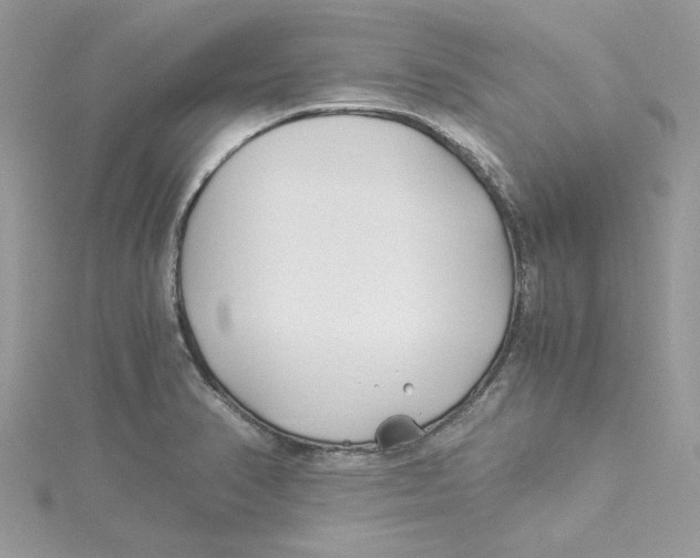 X0000114541374200911161348