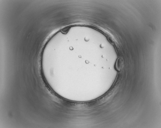 X0000114541375200911161348