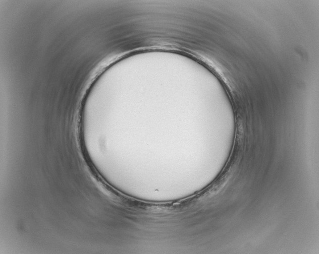 X0000114541379200911161348