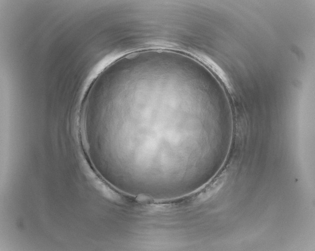 X0000114541381200911161348