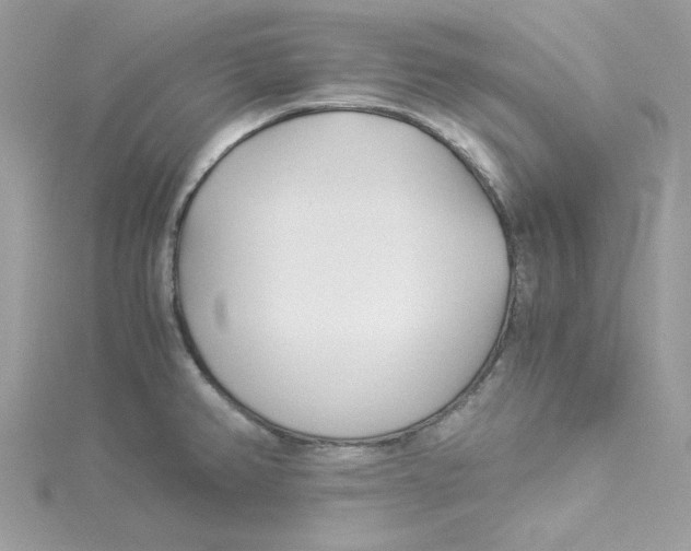 X0000114541382200911161348