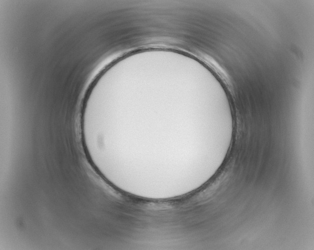 X0000114541384200911161348