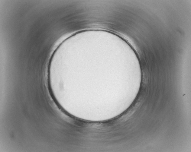 X0000114541387200911161348