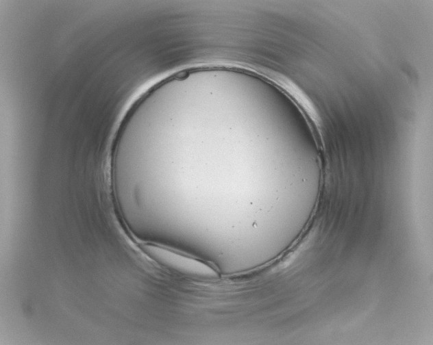 X0000114541388200911161348