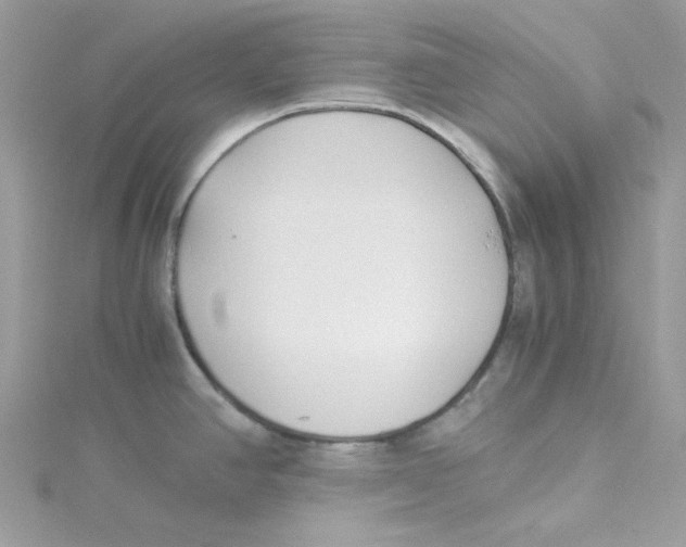 X0000114541390200911161348