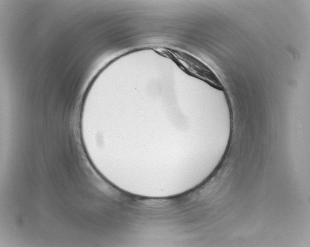 X0000114541392200911161348