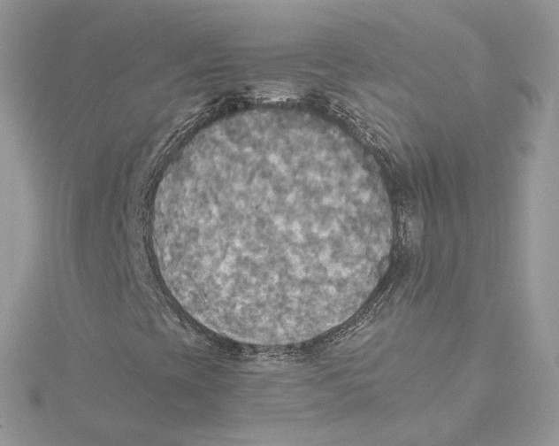 X0000114541393200911161347