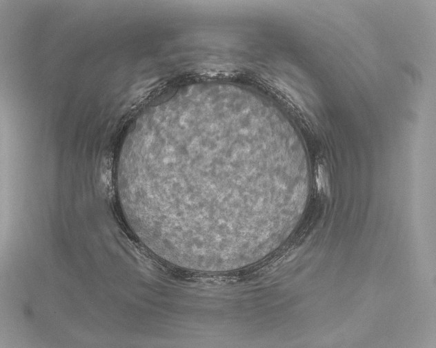 X0000114541396200911161347