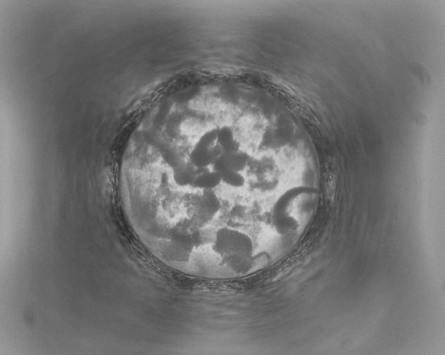 X0000114541397200911161347