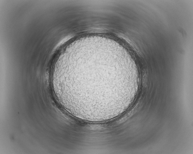 X0000114541402200911161347