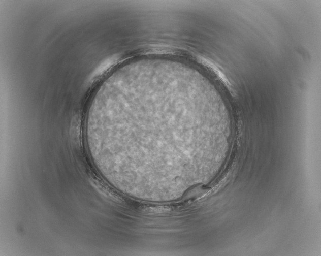 X0000114541403200911161347