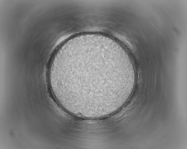 X0000114541404200911161347