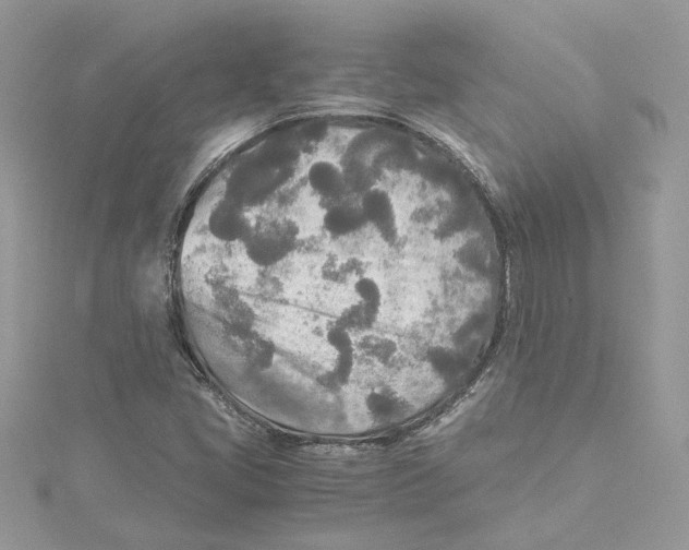 X0000114541405200911161347