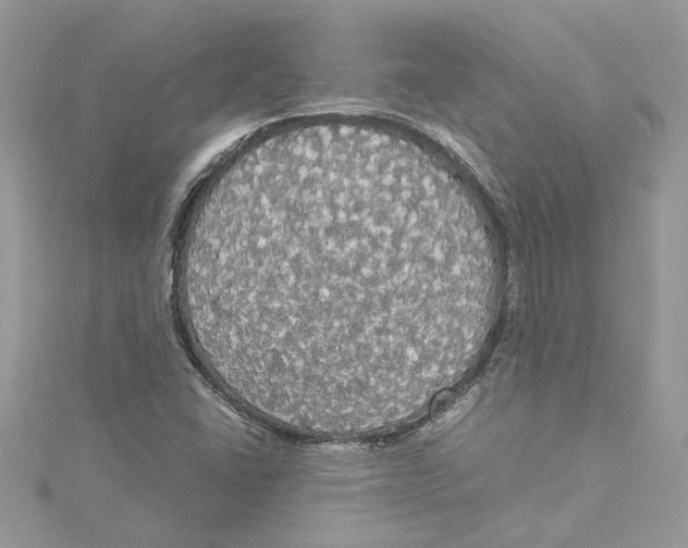 X0000114541406200911161347