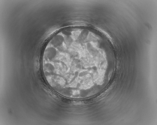 X0000114541407200911161347